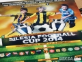 2014-09-28_Silesia_Football_Cup (136)