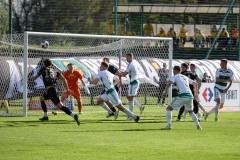 Lechia_186