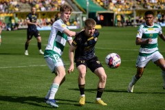 Lechia_64