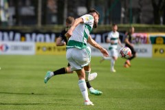 Lechia_96