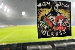 signal-2025-02-25-024535_017