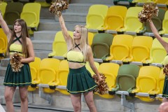 IMG_0087